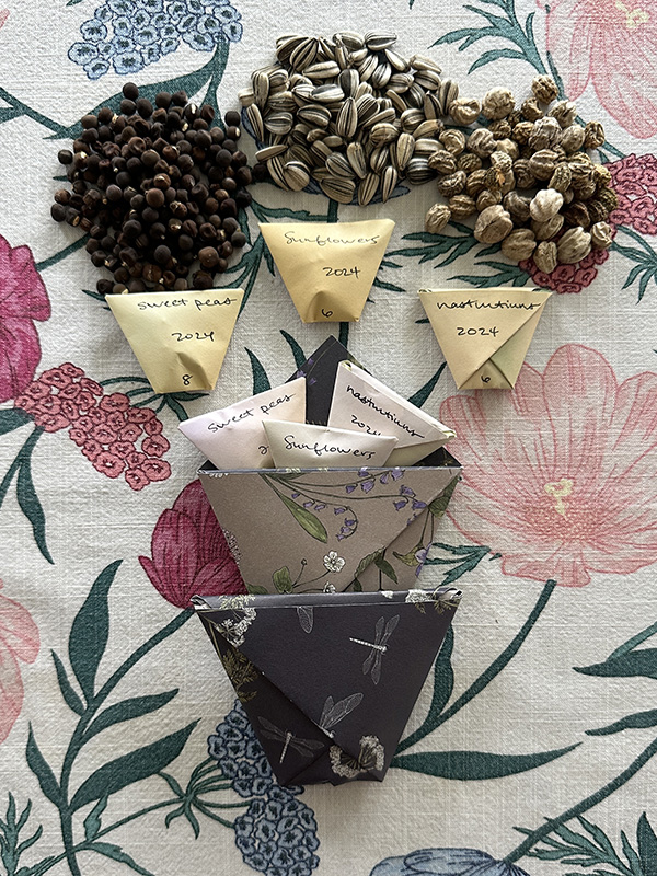 Seed Starter Kit