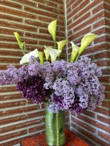 Fresh Cut Flowers from the Yard