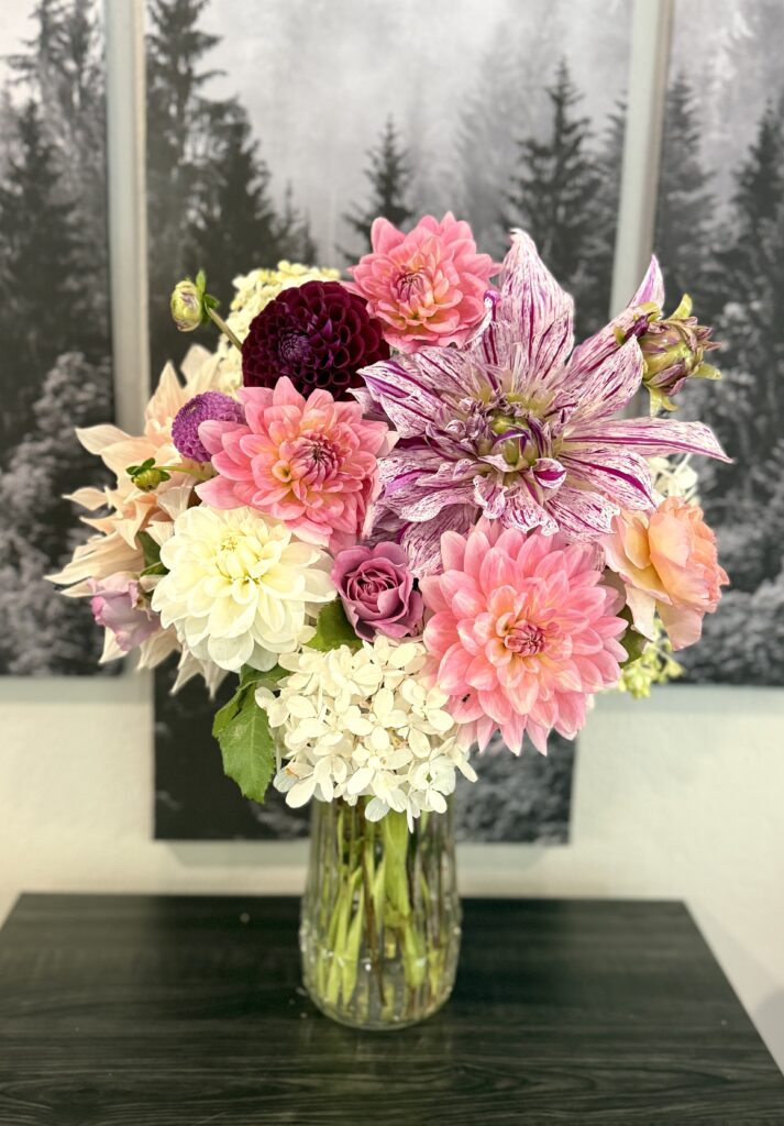 Dahlia Tubers